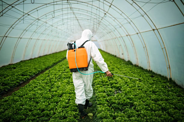 Best Best Pest Control Companies  in Athens, TX