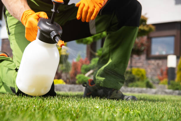 Pest Control for Restaurants in Athens, TX