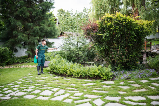 Best Pest Prevention Services  in Athens, TX
