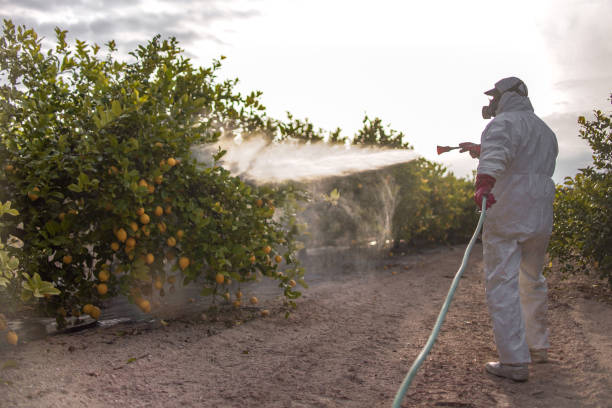 Best Best Pest Control Companies  in Athens, TX